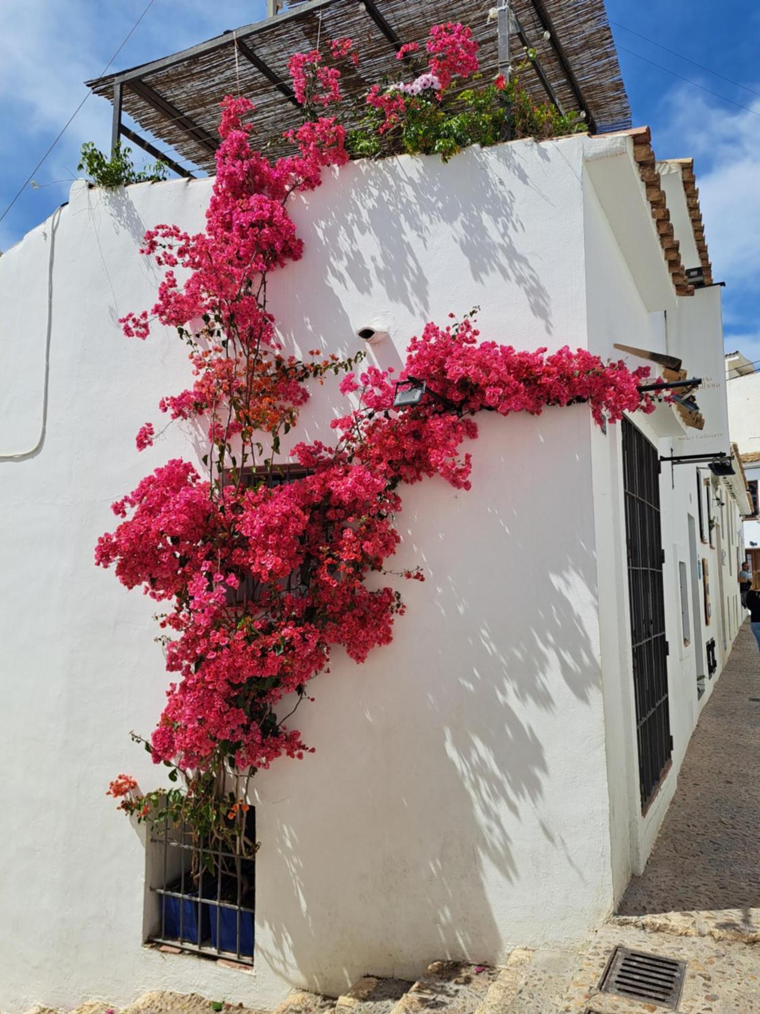 Atico Roof Top Torrevieja Ngoại thất bức ảnh