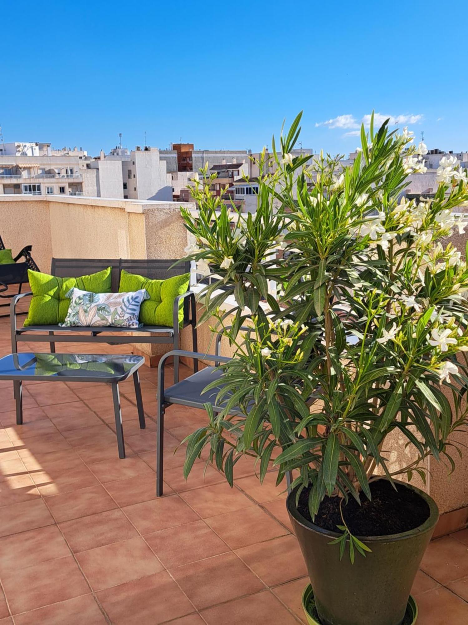 Atico Roof Top Torrevieja Ngoại thất bức ảnh